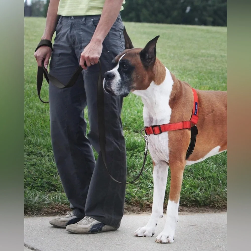 PetSafe, Easy Walk Deluxe Dog Harness, No Pull Dog Harness – Medium/Large, Rose